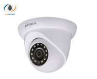 Camera IP Dome Kbvision KX-2002N2